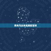 男肖马女肖龙婚配怎样，男属马女属龙相配吗