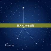 鼠人2022年运势，1984年属鼠女2022年运势每月运势