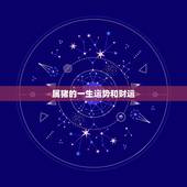 属猪的一生运势和财运，1971年属猪男的一生运程