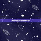 属蛇与属马婚配好不好，属马1978年与属蛇1989年出生的人结为夫妻好