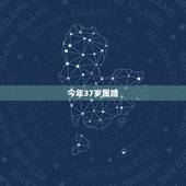 今年37岁属啥，属猴的今年多大了
