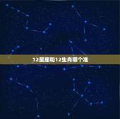 12星座和12生肖哪个准，12星座和12生肖哪个更准？