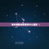 属虎的最佳配偶是什么属性，属虎和什么属相最配