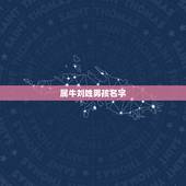 属牛刘姓男孩名字，2022 年牛年刘姓取名