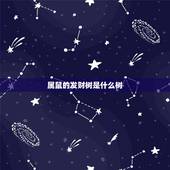 属鼠的发财树是什么树，发财树结果是什么预兆
