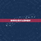 家养风水鱼什么品种最好，风水鱼都有哪些，养几条最好