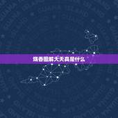烧香图解大天真是什么，大天真香是什么意思