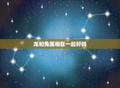 龙和兔属相在一起好吗，属龙和属兔的婚配好吗？