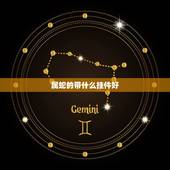 属蛇的带什么挂件好，属蛇佩戴什么项链好