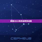 属猪2022年的运势及运程，属猪2022年运程