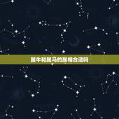 属牛和属马的属相合适吗，属牛和属马的属相合适吗？
