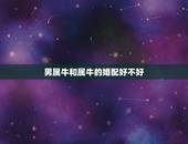 男属牛和属牛的婚配好不好，属牛男人和属龙女人合婚么？