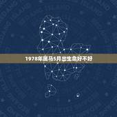1978年属马5月出生命好不好，1978年属马的几月出生人命好