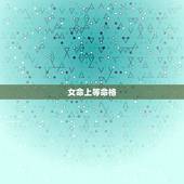 女命上等命格，望师傅看看命格，女命？