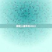 属蛇人逢牛年2022，属蛇人逢猪年要注意些什么