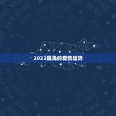 2022属兔的爱情运势，属兔摩羯座2021爱情运、桃花运、财富运如何？