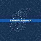 来生最怕什么属相打一生肖，十二生肖里鼠的来历？&amp;#8220;`急用啊！