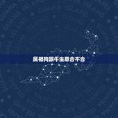 属相狗跟牛生意合不合，属狗和属牛的合不合