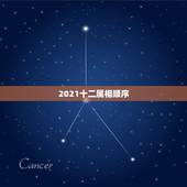 2021十二属相顺序，2021属什么生肖，2021是什么生肖年