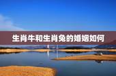 生肖牛和生肖兔的婚姻如何，牛和什么生肖最配婚姻