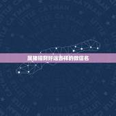 属猪招财好运吉祥的微信名，属猪的微信头像招财幸运图片