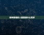 各种属相的人屋里摆什么花好，室内养什么花对人身体好？