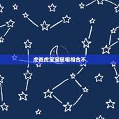 虎爸虎宝宝属相相合不，虎爸爸和虎宝宝合不合
