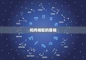 和鸡相配的属相，和鸡不合的生肖