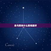 走马西来什么属相最好，走马西来打一生肖