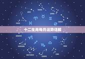 十二生肖每月运势详解，2022 年各生肖运势