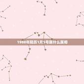 1988年阳历1月5号属什么属相，阳历1988年1月5日出生的是什么属