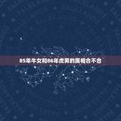 85年牛女和86年虎男的属相合不合，86年虎男与85年女牛能合婚吗