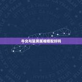 牛女与鼠男属相婚配好吗，属鼠男和属牛女婚运和吗