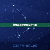 属兔和属蛇的婚配好不好，属兔的男性和属蛇的女性相配吗？生活怎么样？