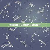 蛇宝宝和什么属相的兄弟姐妹好，属蛇的跟什么属相相合