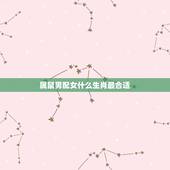 属鼠男配女什么生肖最合适，属鼠男和什么生肖女相合