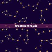 属兔射手座2022运势，射手座2022运势星座运程