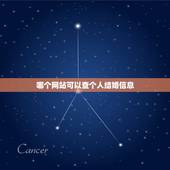 哪个网站可以查个人结婚信息，有什么网站可以查到某人是否结婚了