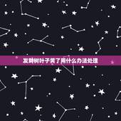 发财树叶子黄了用什么办法处理，发财树叶子黄了是什么缘故？