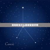 龙和蛇生什么属相宝宝好呢，属蛇父母适合生兔宝宝和龙宝宝吗？