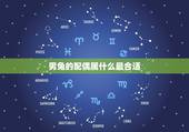 男兔的配偶属什么最合适，属兔的人更佳配偶是什么