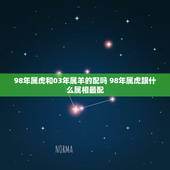 98年属虎和03年属羊的配吗 98年属虎跟什么属相最配