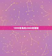 1999年兔和2000龙婚配，1999年兔跟2000年龙相配吗
