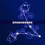 属鸡和蛇的属相婚配表，属鸡的属相婚配表，属鸡的和什么属相最配，属鸡的属