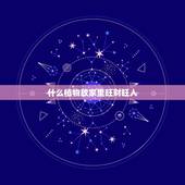 什么植物放家里旺财旺人，店里放什么花草旺财？