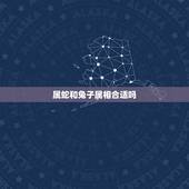 属蛇和兔子属相合适吗，属兔子的和属蛇的真的是最配的属相么？