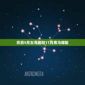农历5月女马能和11月男马婚配，属马的属相婚配表，属马和什么属相最配