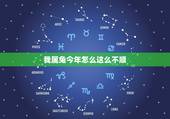 我属兔今年怎么这么不顺，2022 年属兔灾难