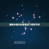 桑柘木是什么意思这个命好不好，命理中的桑梓木代表啥意思，和其他的木有啥