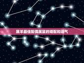 属羊最佳配偶属鼠的婚配和运气，属羊的和属鼠的结婚好吗